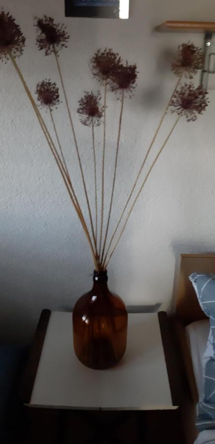 Bamboo Apartman ปอร์โตรอซ ภายนอก รูปภาพ